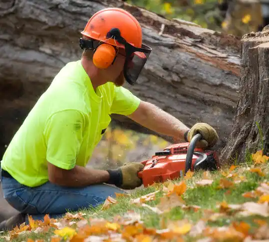 tree services North Browning